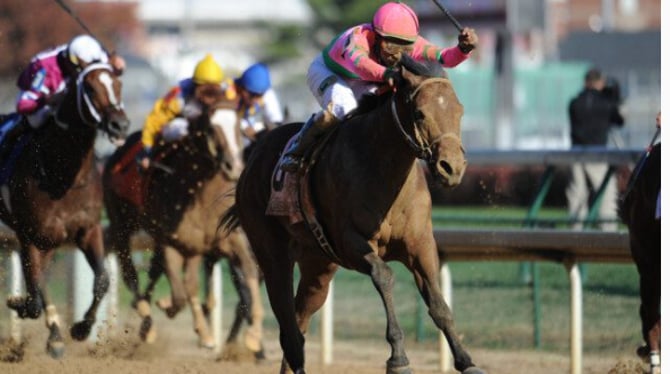 3. A Grade III Stakes Race with National Attention